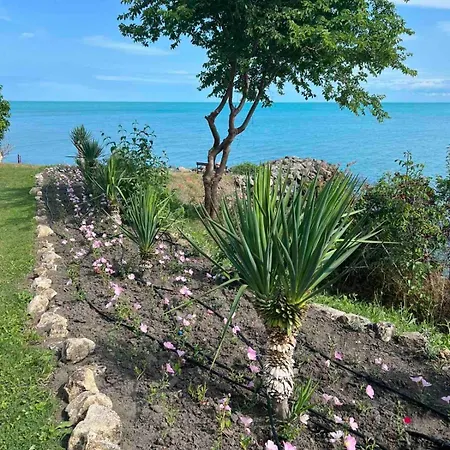 Noks - Marina View Szveti Vlasz